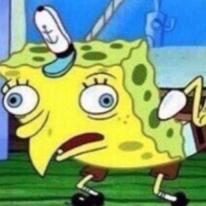 Meet your Posher, Kay